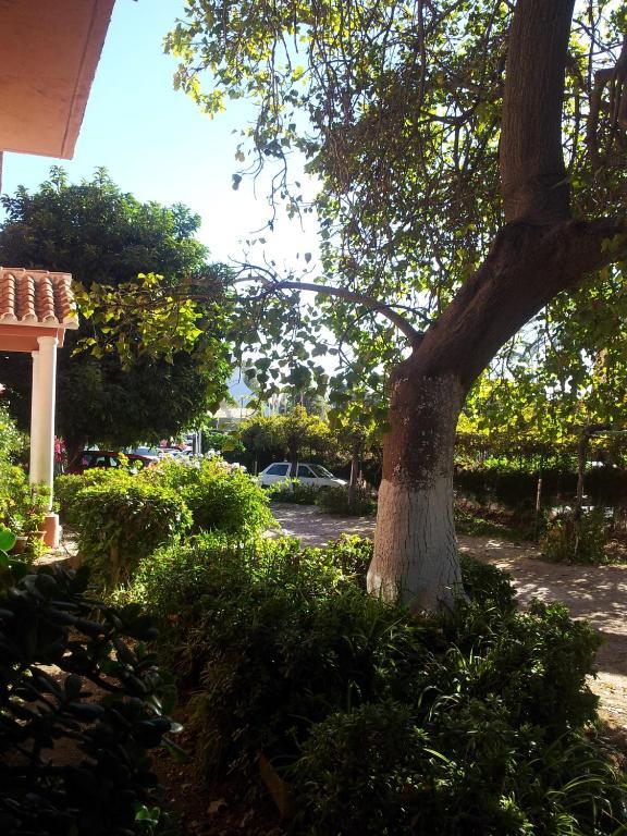 Affittacamere El Tio Mateo Marbella